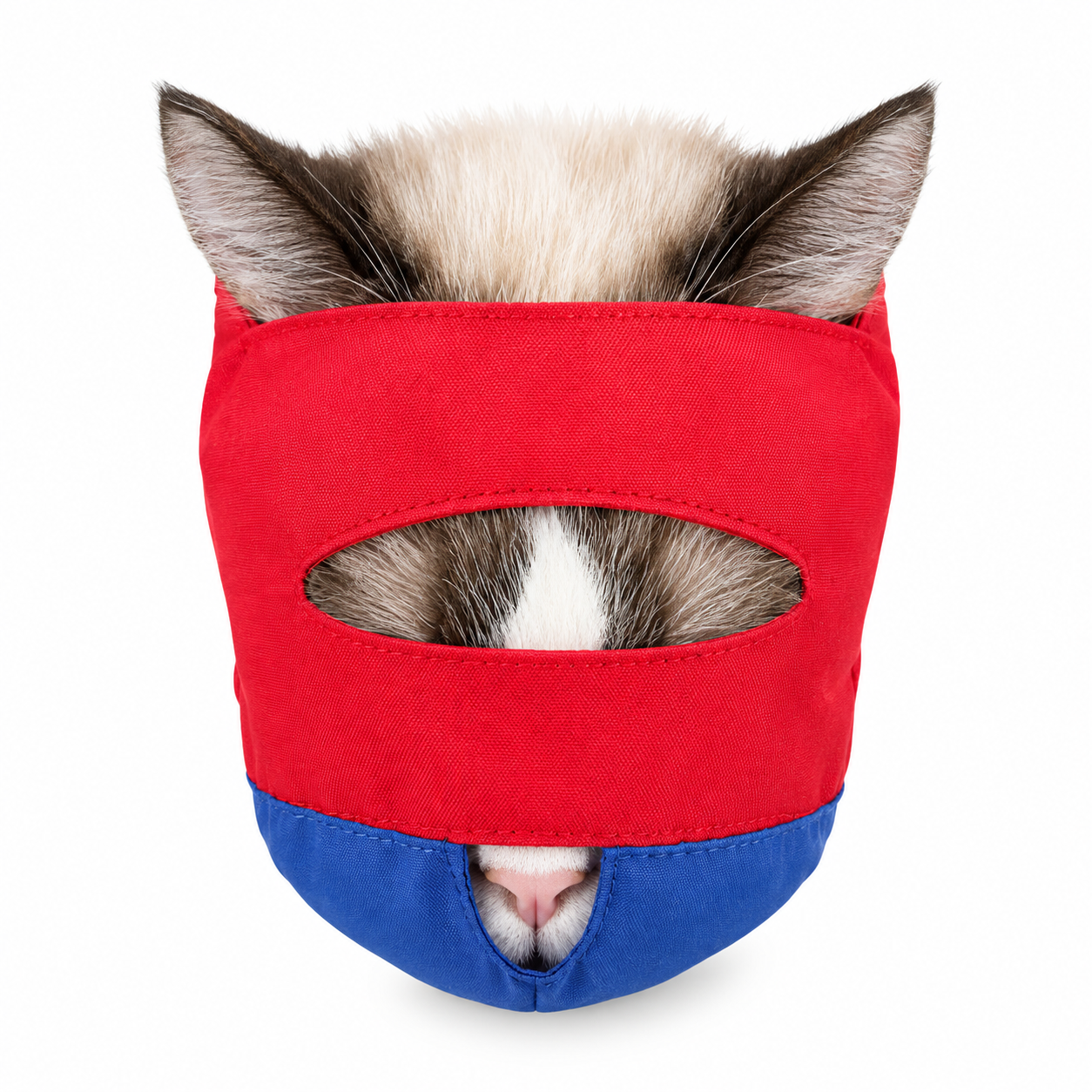 mascara para gatos tipo bozal talla M